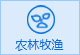 ũ